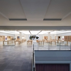 Apple Pentagon City