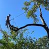 Fourth Generation Tree Service gallery