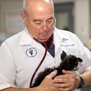 VCA Southwest Freeway Animal Hospital - Veterinary Clinics & Hospitals