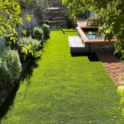 Gallery Image Number 5