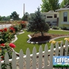 Artificial Grass Installations by Tuffgrass Inc. gallery