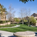 Colonnade Apartments - Apartment Finder & Rental Service