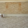 Budget Carpet Cleaning gallery