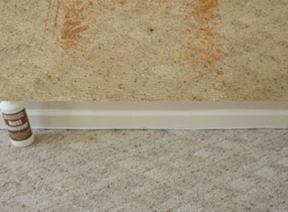 Budget Carpet Cleaning - Winter Garden, FL