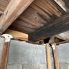 Gulf Coast Mold Assessing & Remediation gallery