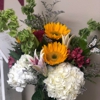 Currier Dental gallery