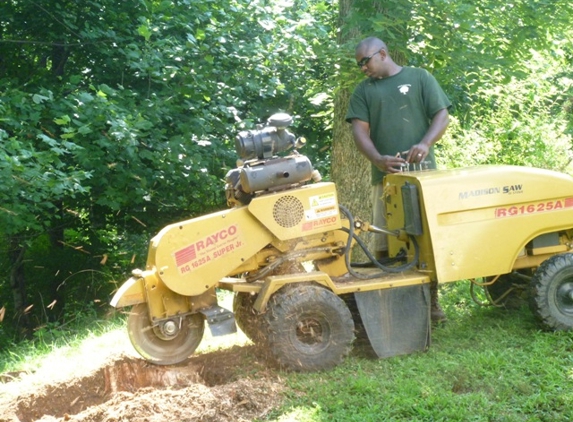 Snead's Landscaping & Tree Service LLC - Stanardsville, VA