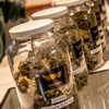 Higher Love Cannabis Dispensary Norway gallery