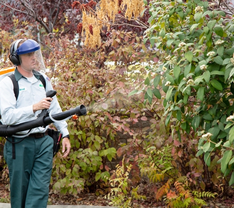 Edge Pest Control and Mosquito Services - Colorado Springs, CO