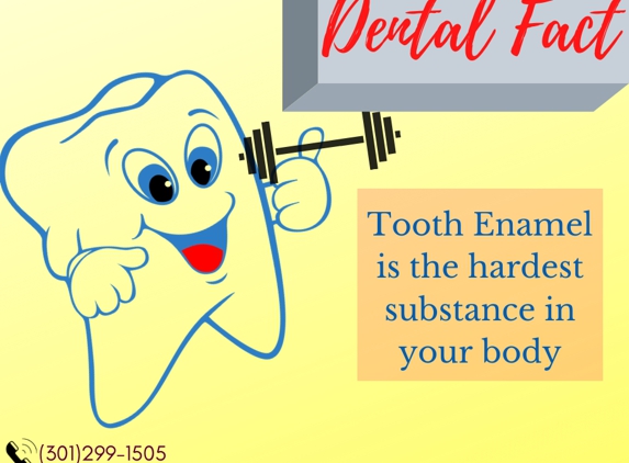 Standard Dental LLC - Potomac, MD. #dentalfacts #teethenamel #strongteeth #cosmeticdentistryinpotomacmd #dentistsinpotomac #potomacdentists #fullservicedentists 