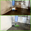 Mold Warrior - Mold Remediation