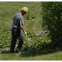 C  & R Tree Service