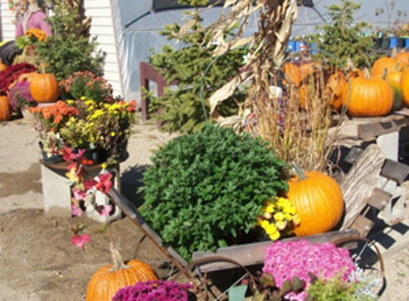 Summer Garden Nursery - Litchfield, MN