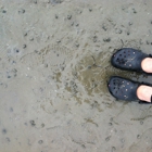 Duxbury Beach Park