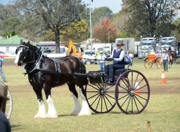Singleton Showground - Singleton, NSW