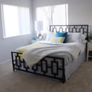 The Edge Apartments - Real Estate Rental Service