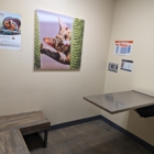 Vetco Total Care Animal Hospital