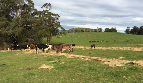 P W Morrissey Agricultural Contracting - Main Ridge, VIC