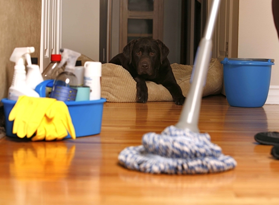 A-1 Co. Custom Cleaning Specialist - South Jordan, UT