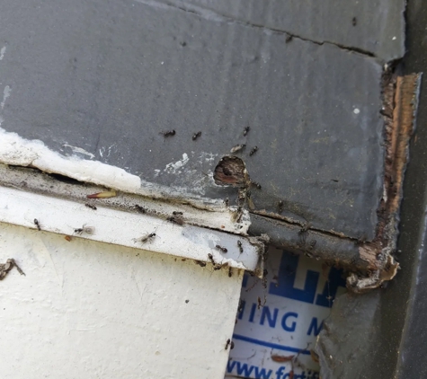 Instinct Pest Management, LLC - Hillsboro, OR