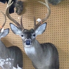 True2Life Taxidermy