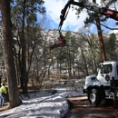 Southwest Fire Defense - Tree Service