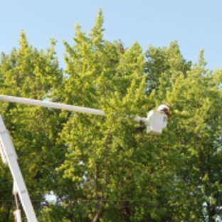 Roberts Tree Service - Grangeville, ID