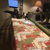 The Feverish Quilter /  Longarm Quilting Service gallery