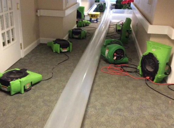 Servpro of Brandywine/Wilmington - Wilmington, DE