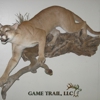 Game Trail Taxidermy gallery