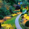 Maintain Landscaping gallery