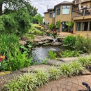 Meyer Aquascapes Inc