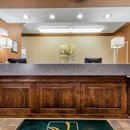 Quality Inn - Motels