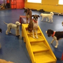 Urban Pooch Canine Life Center - Pet Boarding & Kennels