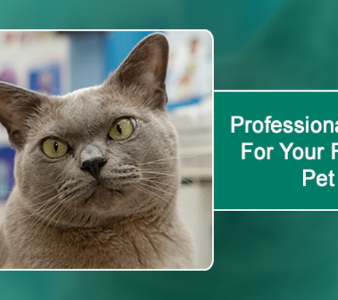 Maroondah Veterinary Clinic - Croydon, VIC. Professional Care For Your Family Pet