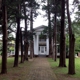 Rowan Oak