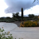 Bill's Home Service Company Termite & Pest Control - Pest Control Equipment & Supplies