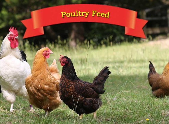 Drury's Stockfeeds - Jones Island, NSW. Poultry Feed