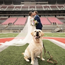 Hillary Ferguson Photography - Portrait Photographers