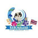 BabuHawaii Foundation - Blood Banks & Centers