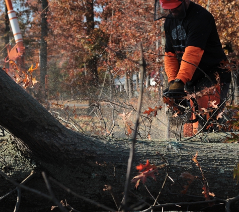 Princeton Tree Care - Princeton Junction, NJ