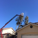 Roley's Tree Care - Tree Service