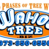 Wahoo Tree gallery