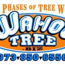 Wahoo Tree - Tree Service