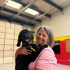 Devildog Canine gallery