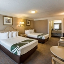 Quality Inn - Motels