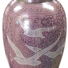 Willow Cremation Society Canton