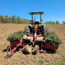 Showers Tree Farm - Farms