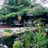 Twin Magnolias Bed and Breakfast gallery