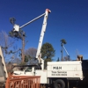 M & H Tree Service gallery